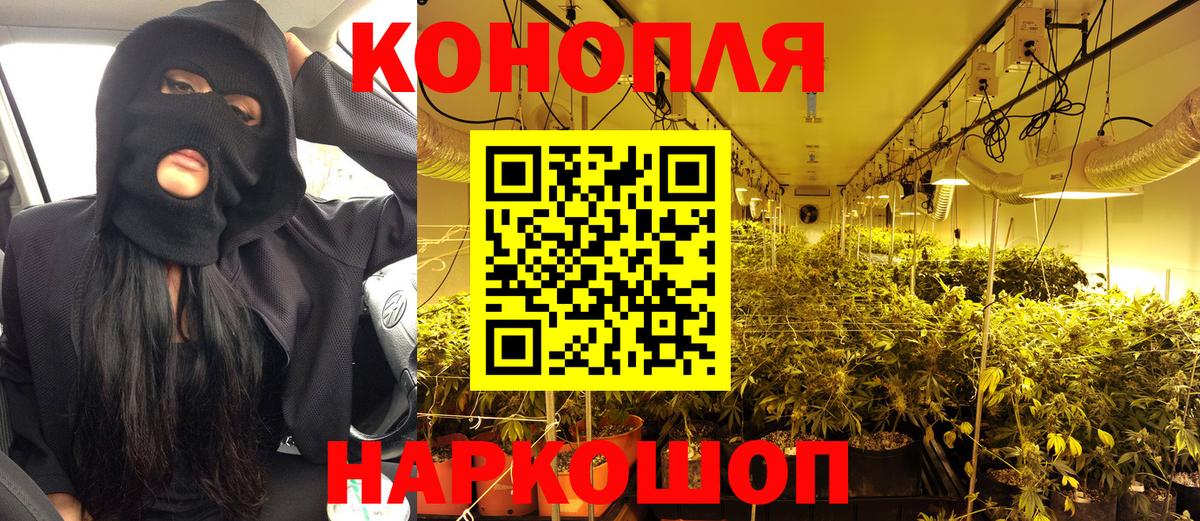 Каннабис SATIVA & INDICA  Вход с VPN  Каннабис тримм  Бошки Шишки планчик  Кудрово  Шишки марихуана семена 